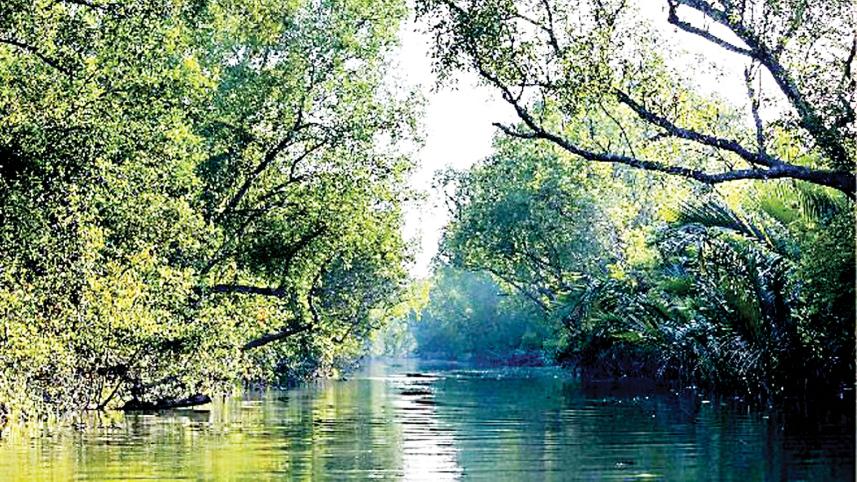 sundarbans.jpg