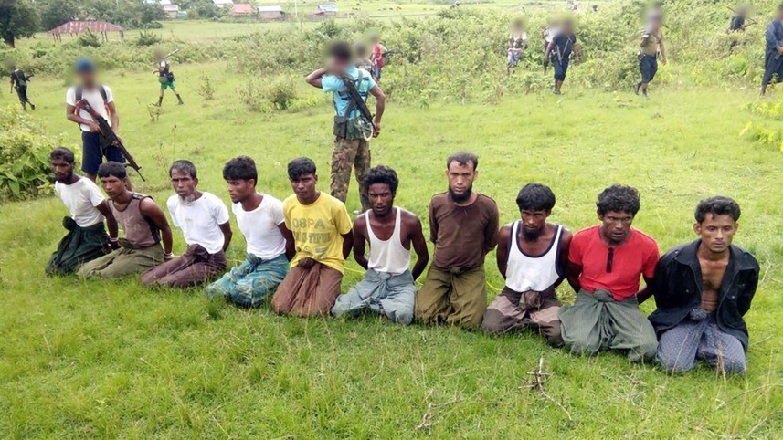 rohingya
