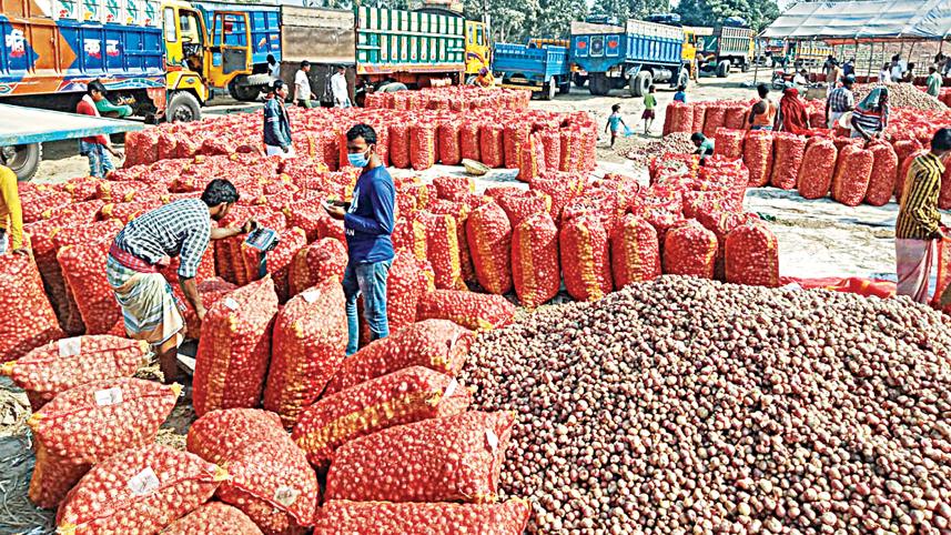 Onion farmers in a tight spot for poor prices