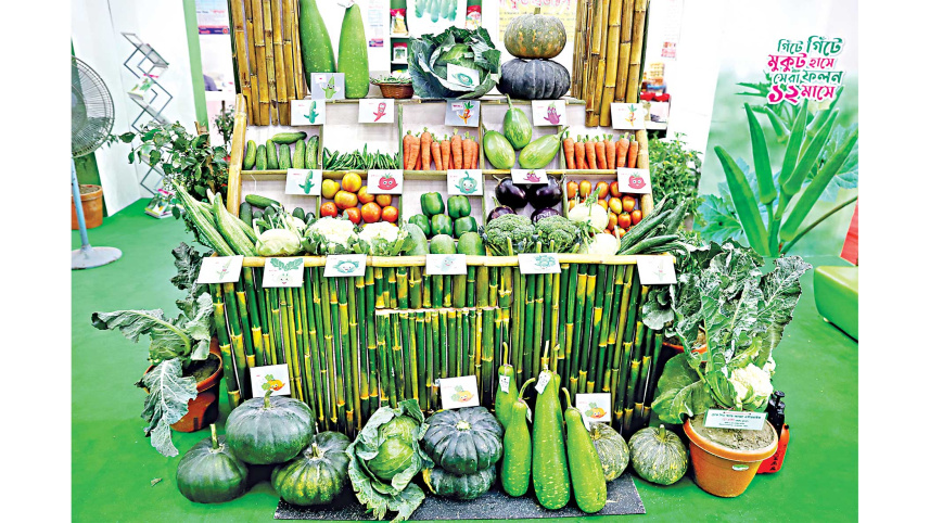 vegetable-fair-2.jpg
