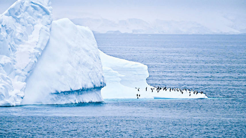 antarctica-2.jpg