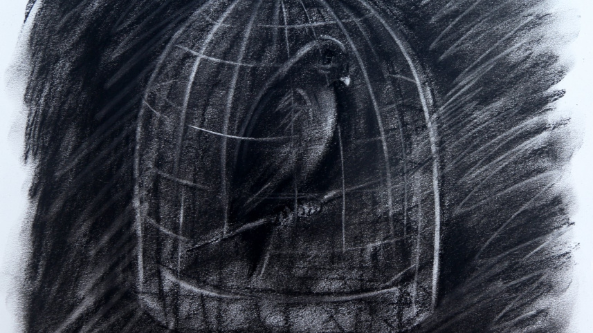 caged_bird_charcoal_on_paper_26_x_27cm_10x10.5in_2020.jpg