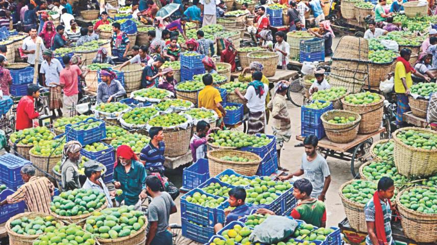 mango_in_rajshahi_1.jpg
