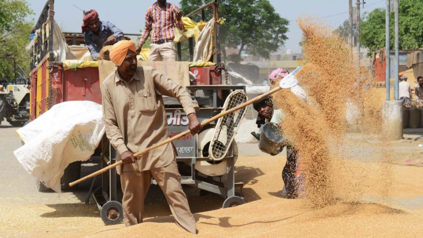 bitter-harvest-for-indian-farmers.jpg