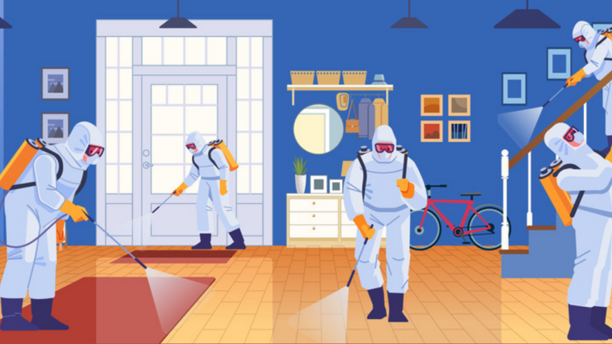 How to get rid of bugs and pests like cockroaches, mosquitoes and rats.