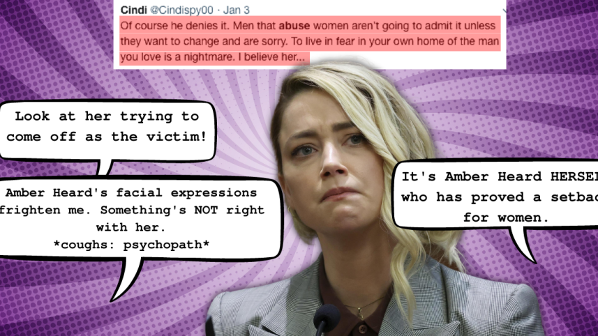 vilification of Amber Heard