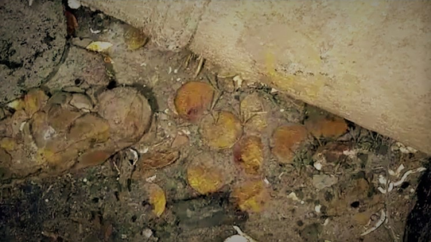 gold_coins_wb.jpg