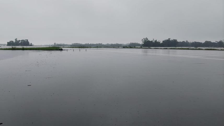 Flood, bangladesh, sylhet, airport, 
