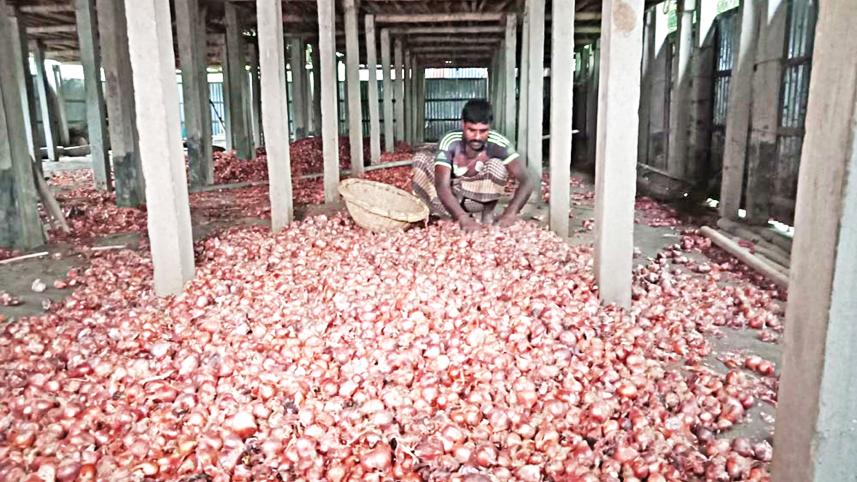 onion-farmers-2.jpg