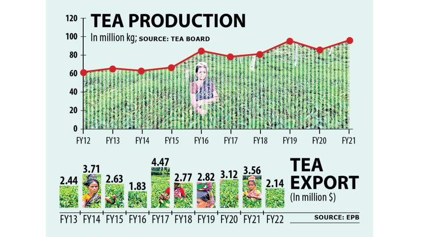 tea-production-2.jpg