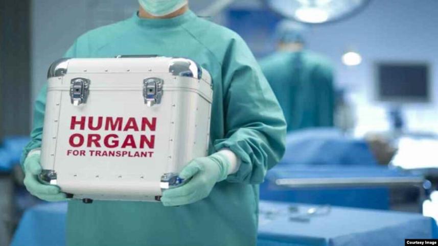 Kidneys Business in Bangladesh