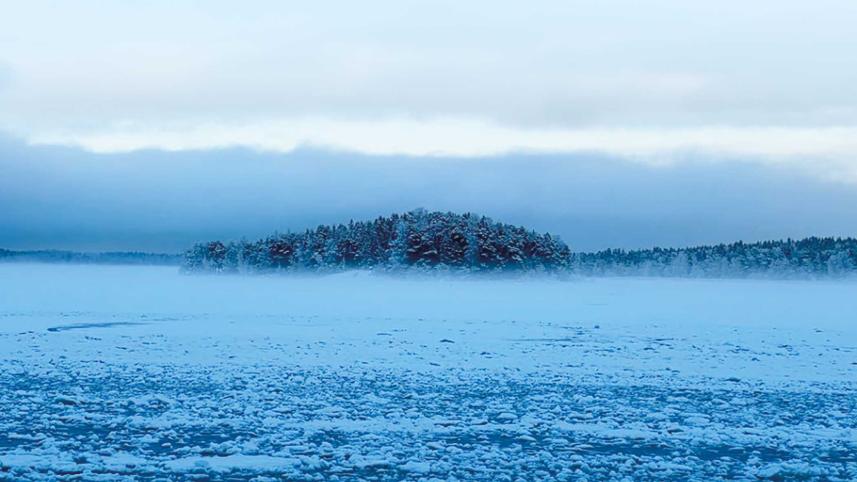 Whiteness of the North