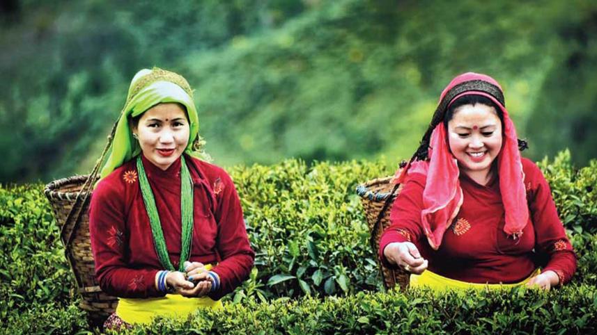 tea-garden-workers.jpg