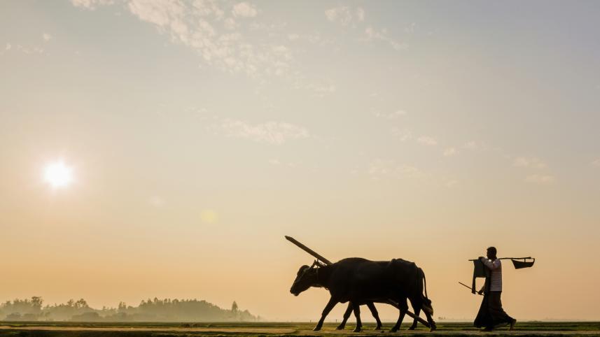 Kishorganj farming scene