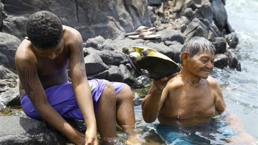 River_Xingu_amazon_rainforest_brazil