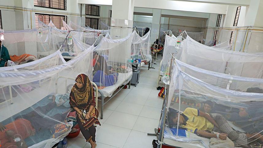 dengue patients