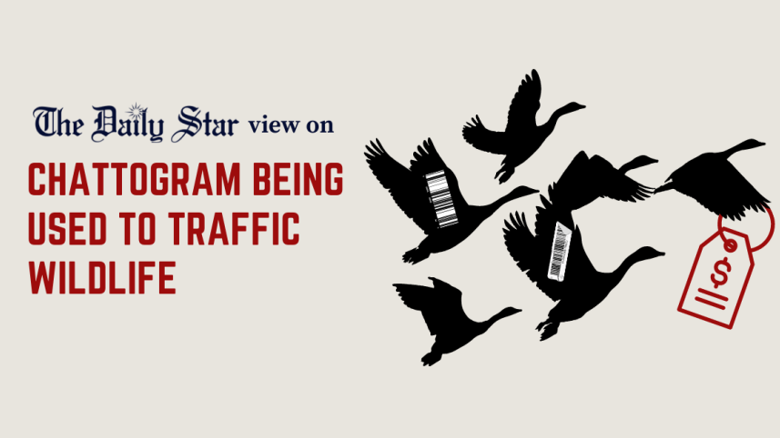 chattogram_being_used_to_traffic_wildlife.png