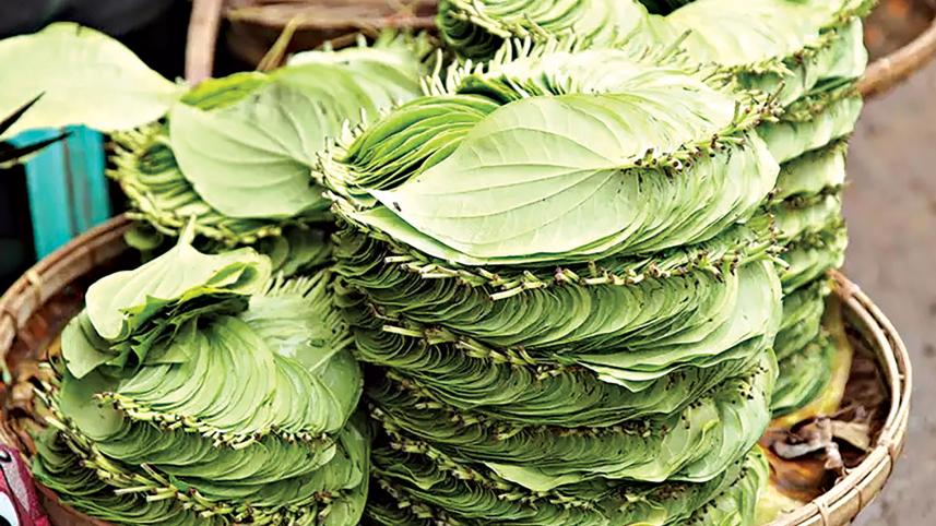 betel-leaf-2.jpg