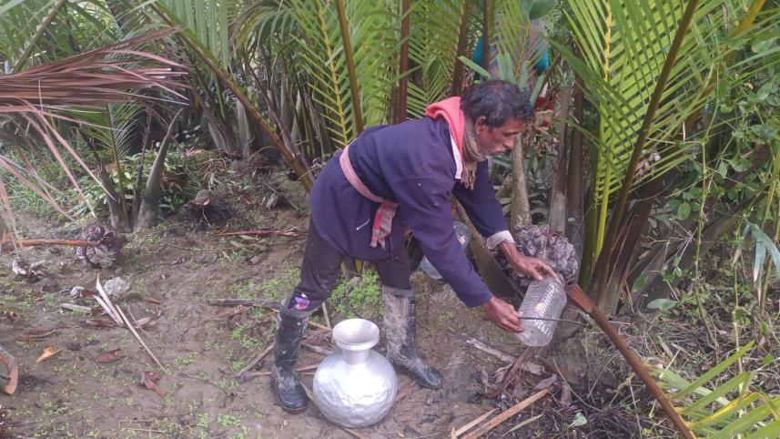 Nipa palm molasses, a little-known sweet with immense potential 