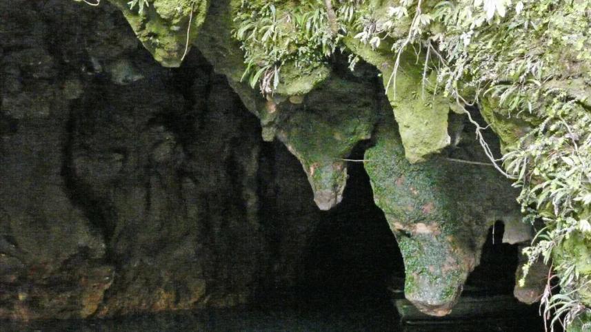 Waitomo Caves, New Zealand 7 most fascinating caves around the world