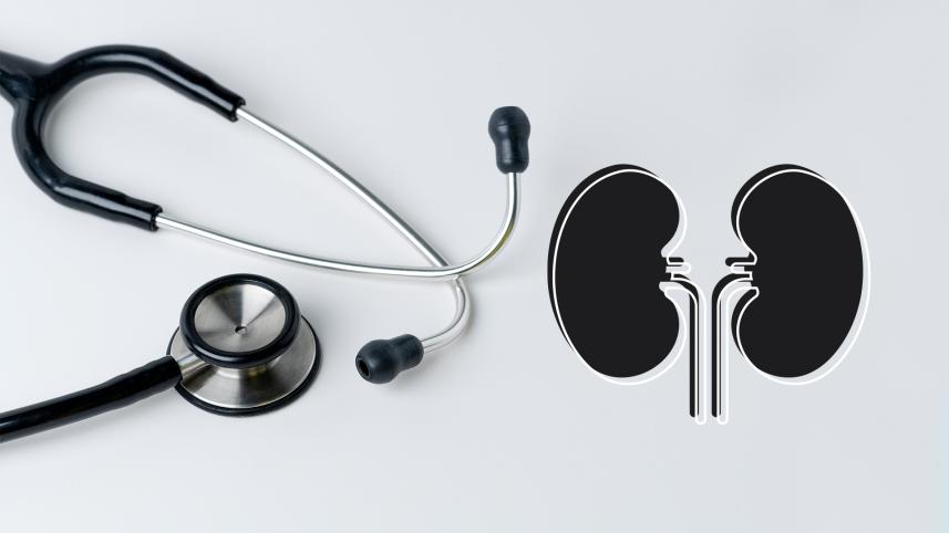 cadaveric kidney transplant