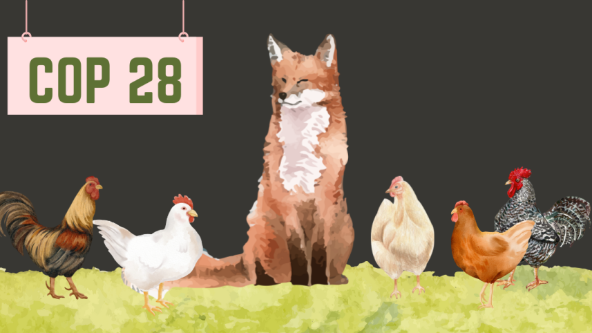 COP 28