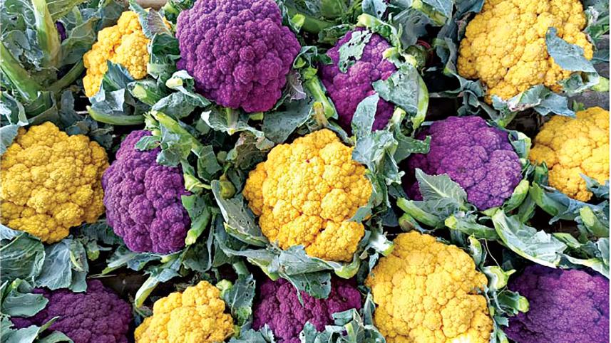 Coloured cauliflowers