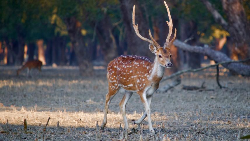 Khulna Tourist Attraction 