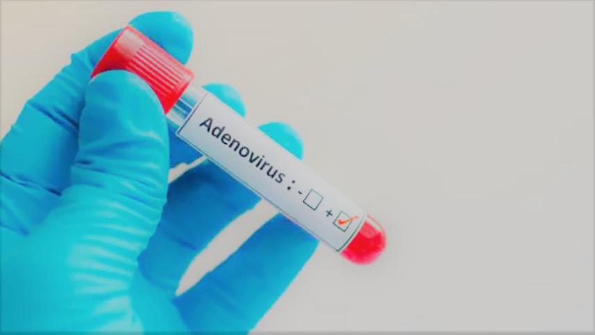 adenovirus
