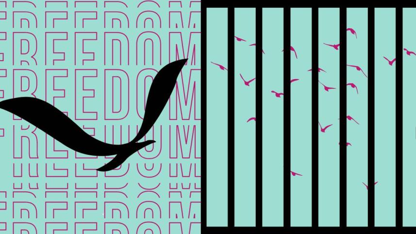 Freedom of the press.jpg