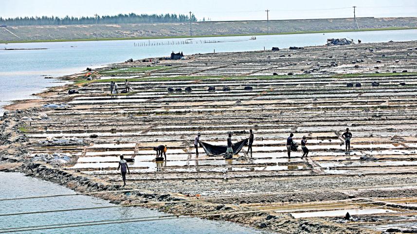 salt research and training institute