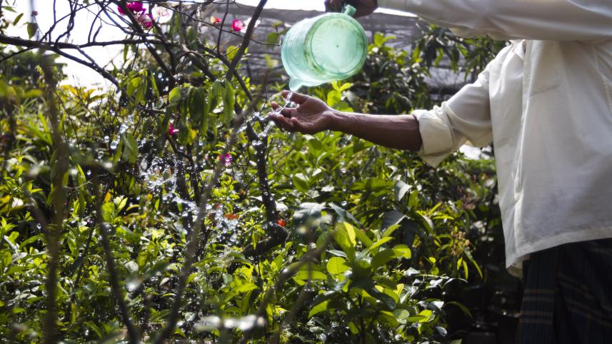 Practising mindfulness through gardening