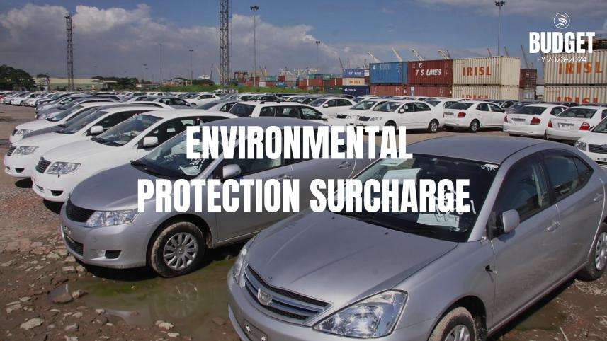  carbon tax on multiple vehicle owners