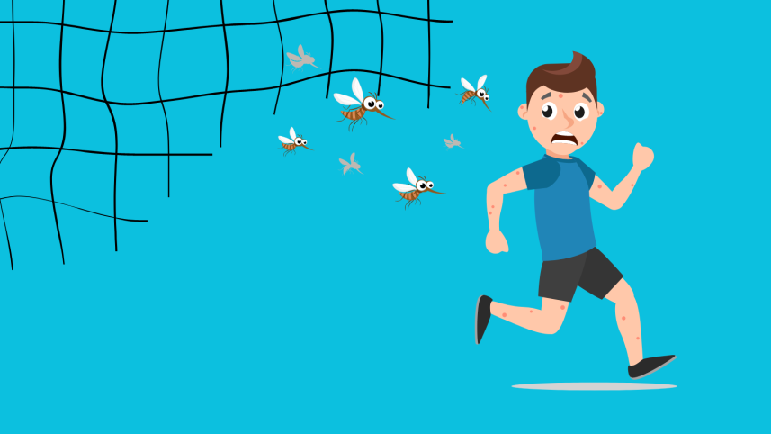 How to prevent dengue fever