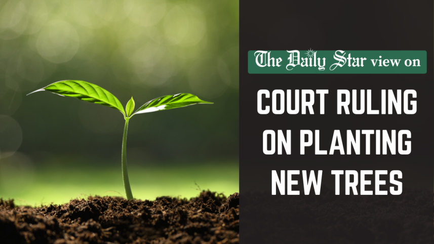 high court ruling on planting new trees