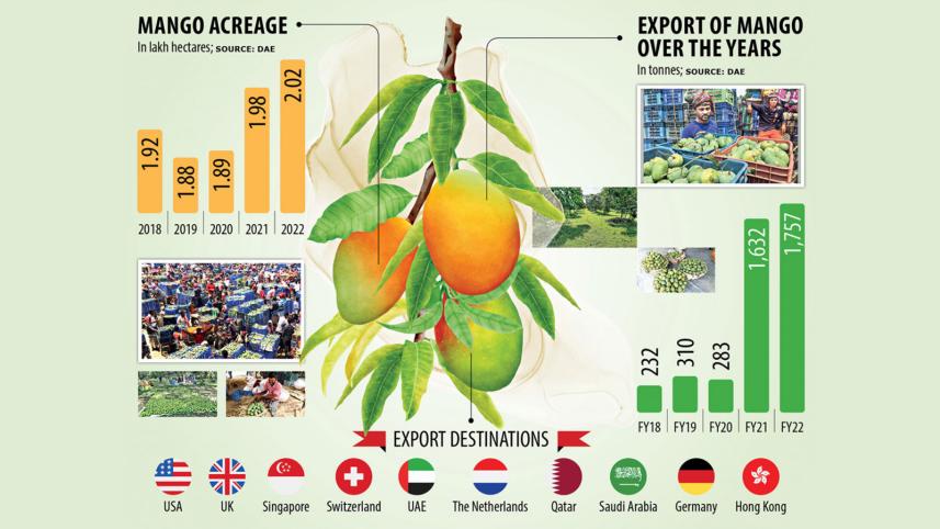 mango-exports-tds-news.jpg