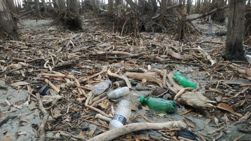 sundarban-plastic-pollution-1.jpg