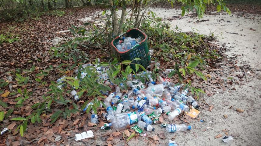 sundarban-plastic-pollution-2.jpg