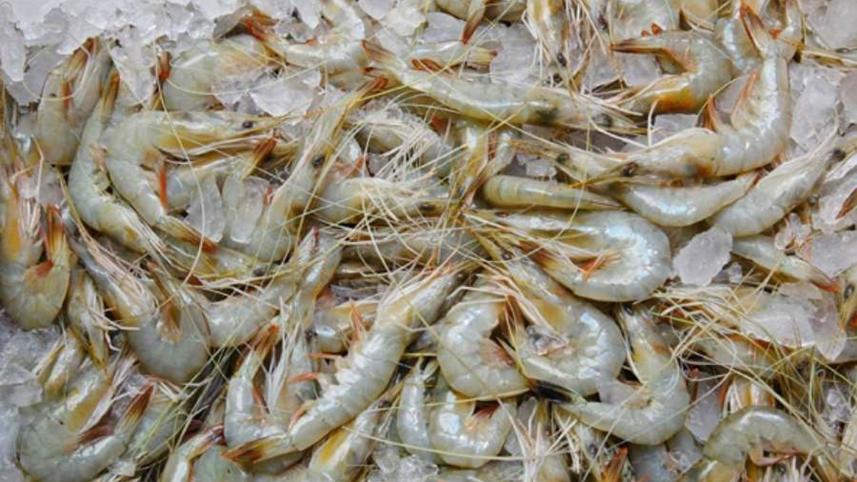 export growth of Bangladesh