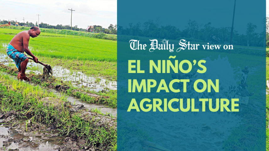 El Nino's impact on agrilculture.png