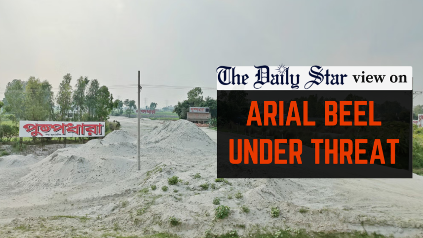 arial beel under threat