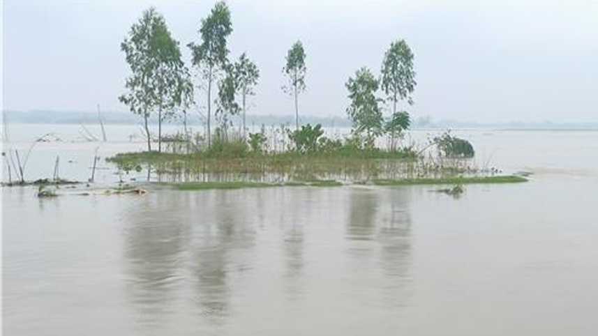 kurigram4.jpg