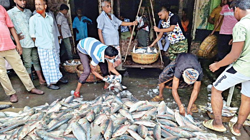 Govt names 2nd spawning ground of hilsa