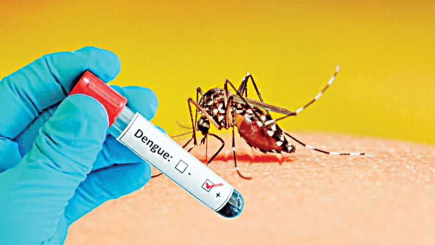 dengue deaths in Bangladesh 2026