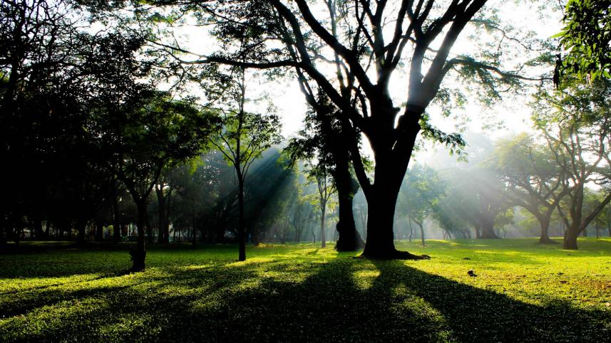 cubbon_park_karnataka Cricket and culture: Discovering India's treasures beyond the World Cup 2023
