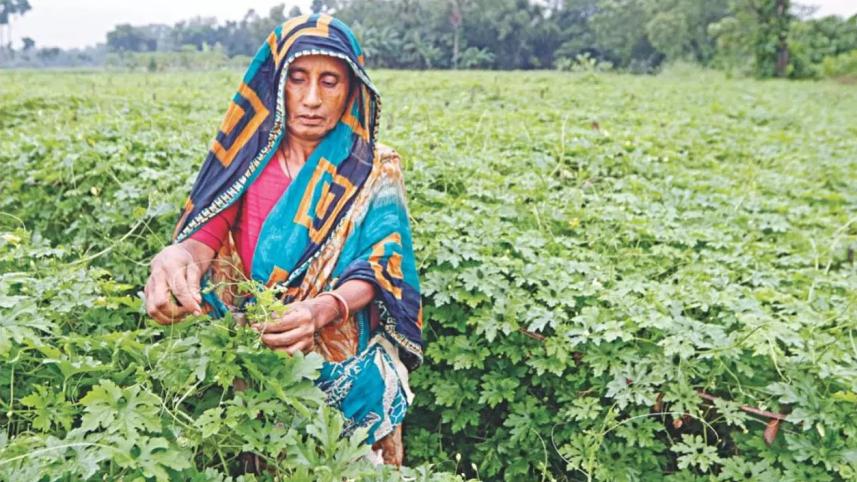 Why do our food producers go hungry? 