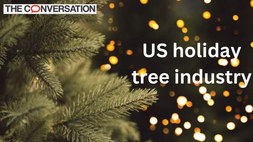 Oh, Christmas tree: The economics of the US holiday tree industry
