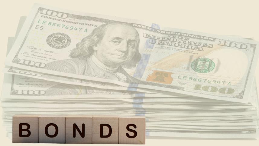 Govt hikes interest rates for dollar bonds