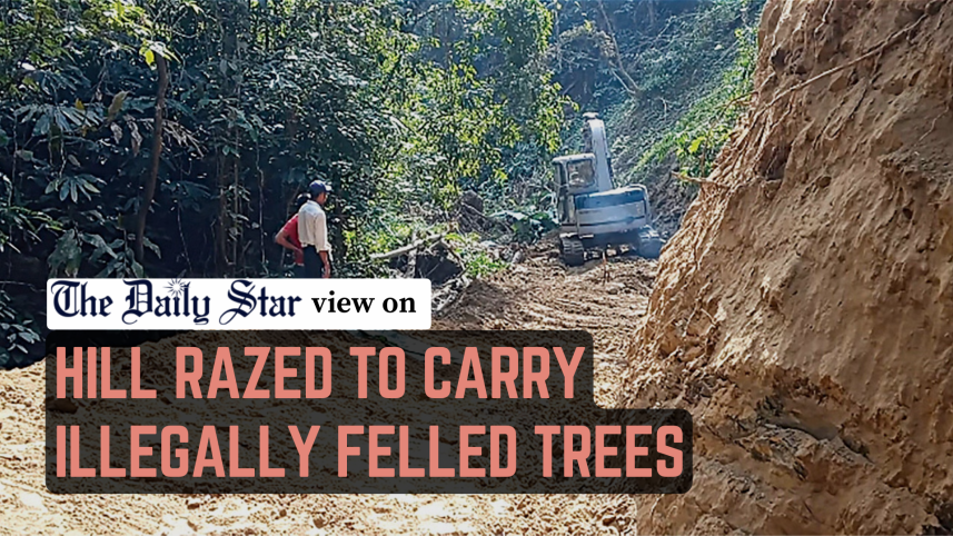 hill razed to carry illegally felled trees