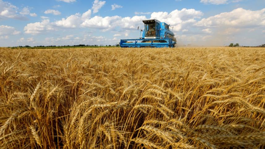 Russia wants to export wheat to Bangladesh